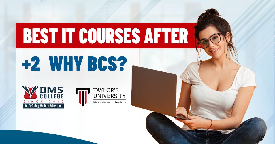 IT Courses After Plus Two